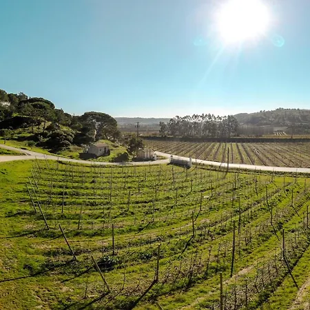 Casa Rustica, Perto Do Castelo De * Óbidos