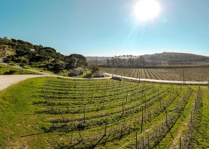 Casa Rústica, Perto Do Castelo De * Óbidos